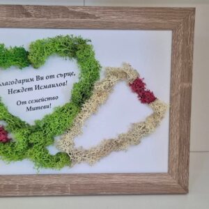 Картина за лекар