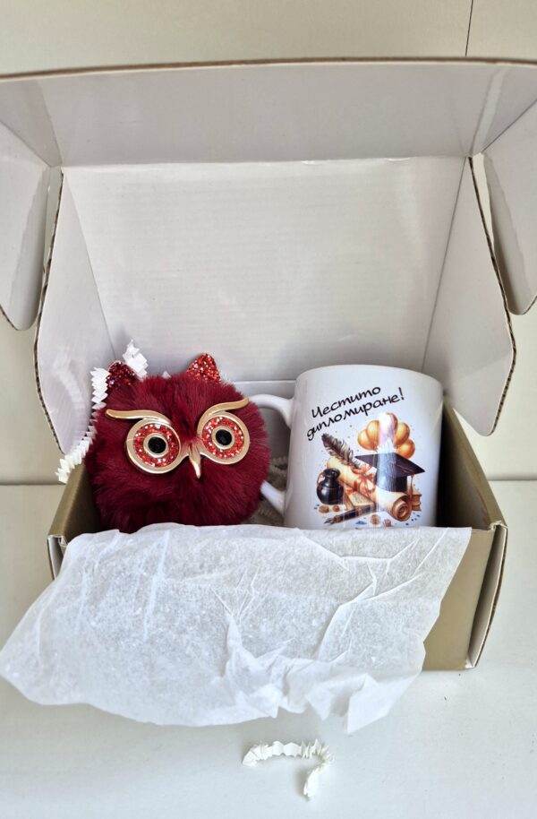 Подаръчен комплект за абитуриент с ключодържател сова - снимка 1